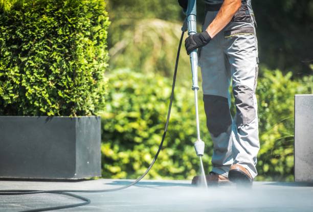 Best Dumpster Area Cleaning  in Clifton, IL